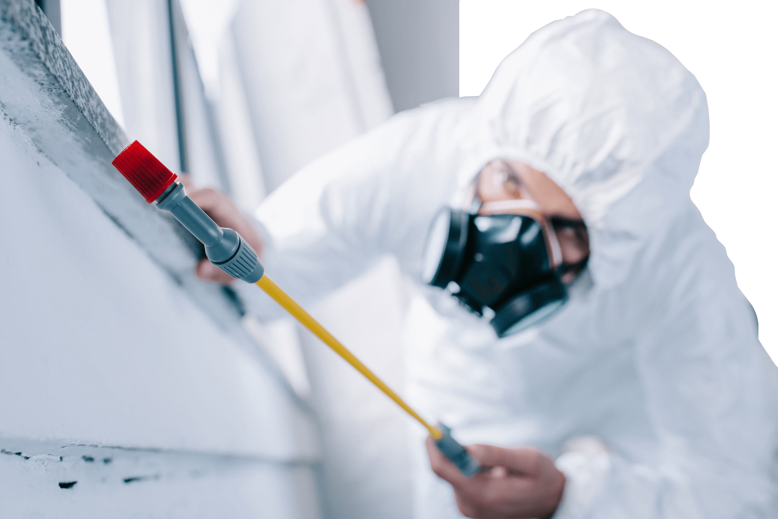 Pest Control Services